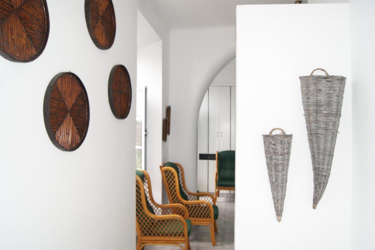 Azores Dream Hostel Ponta Delgada Dış mekan fotoğraf